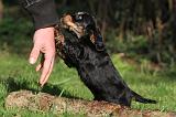 ADULTE ET CHIEN 590